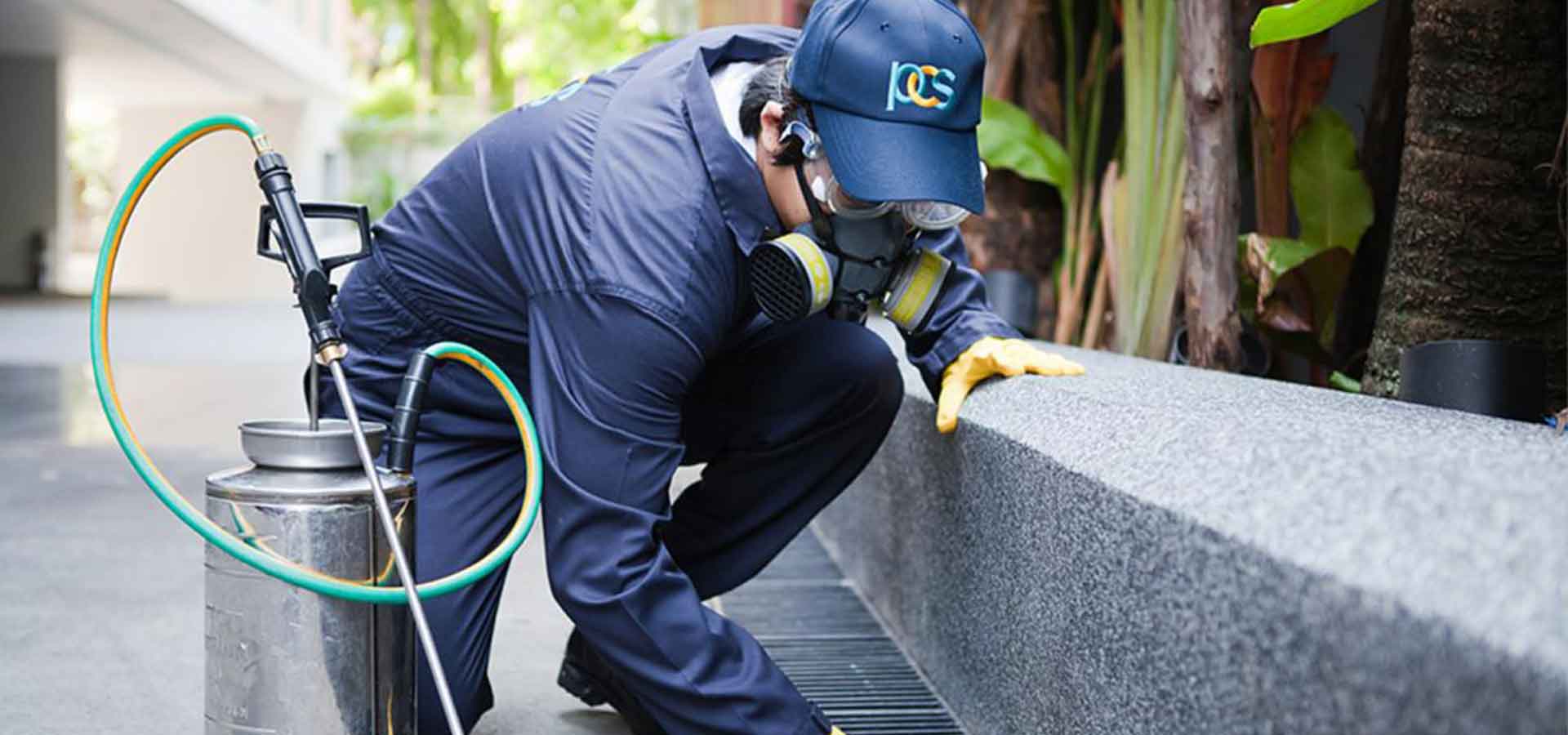 Safe pest control for homes