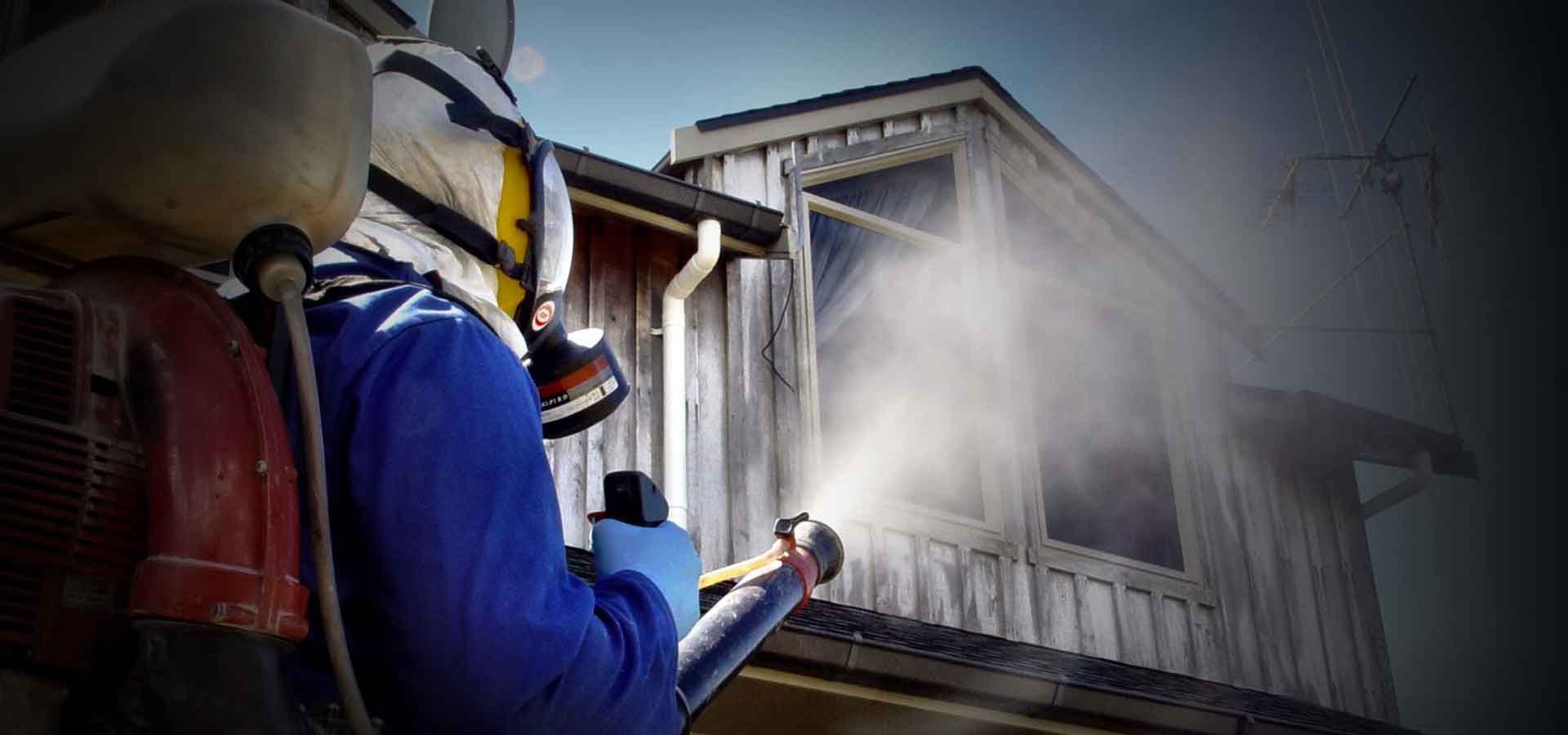 Expert termite treatment in Kerala