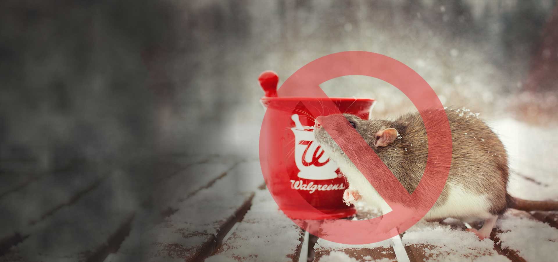 Commercial pest control services