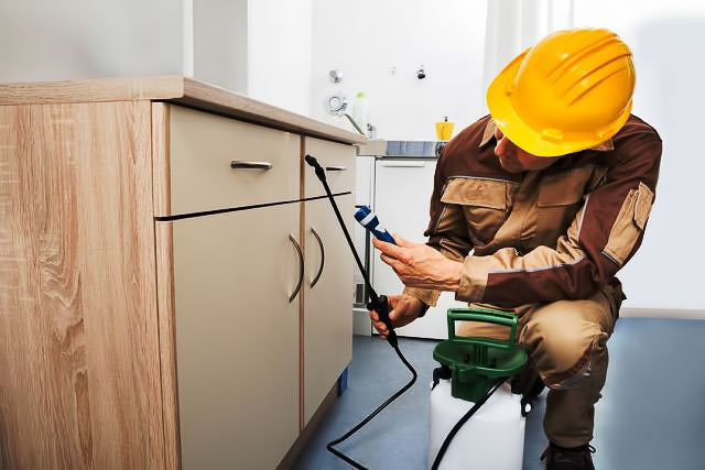 Raids Pest Control service vehicle and team