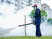 Safe and effective fumigation of a shipping container