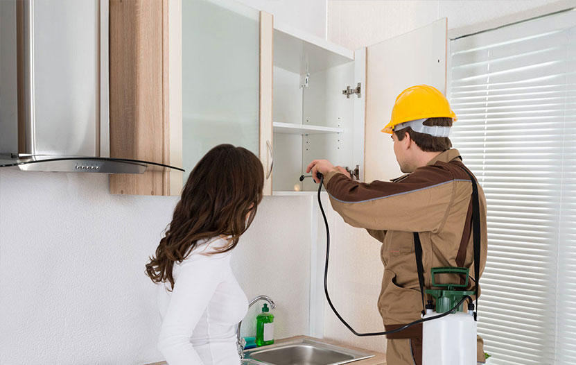 Pest control technician treating a kitchen